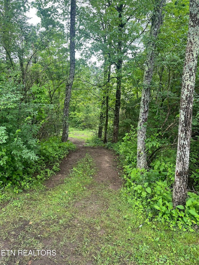 798 Lawson Rd, Crossville, TN 38571 - view of woods