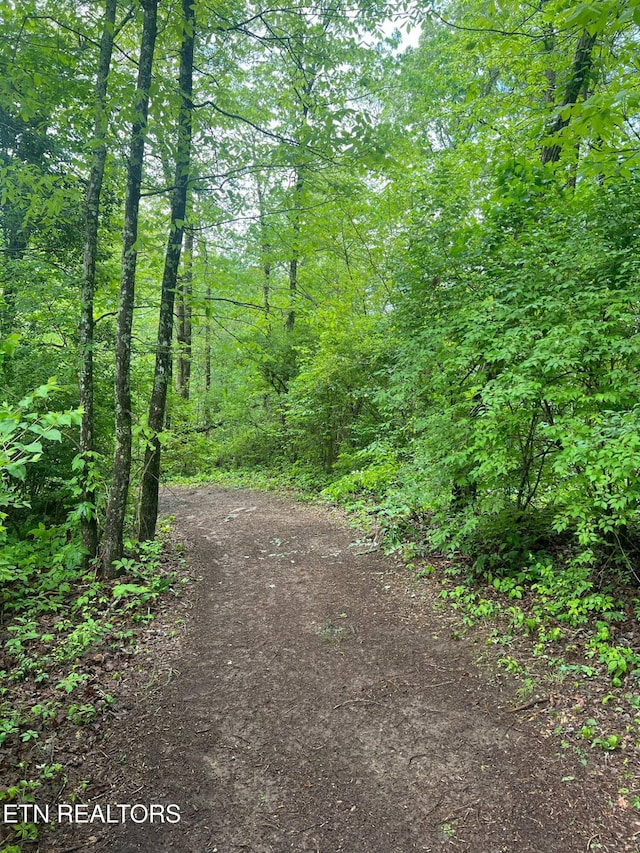 798 Lawson Rd, Crossville, TN 38571 - view of road with a view of trees