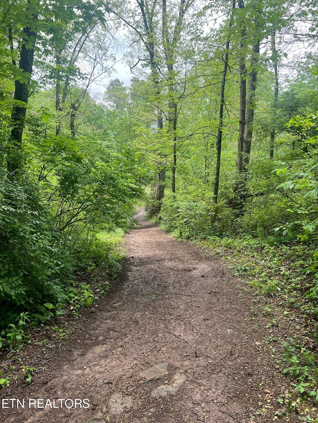 798 Lawson Rd, Crossville, TN 38571 - view of street with a wooded view