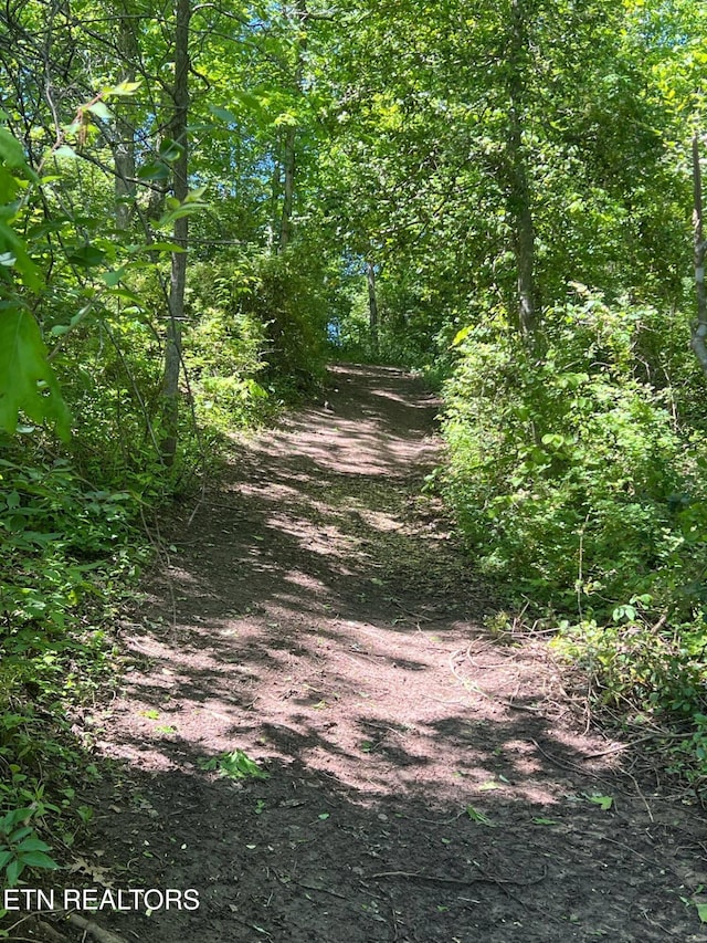 798 Lawson Rd, Crossville, TN 38571 - view of undeveloped land