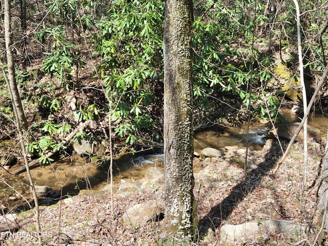 LOT25 Alpine Dr, Sevierville, TN 37876