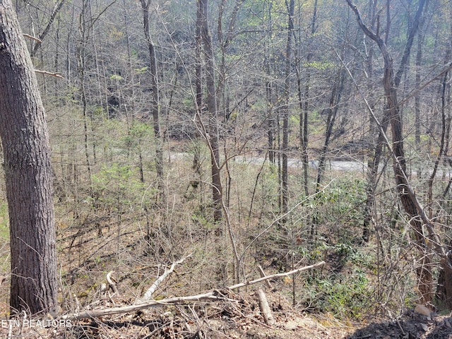 LOT25 Alpine Dr, Sevierville, TN 37876
