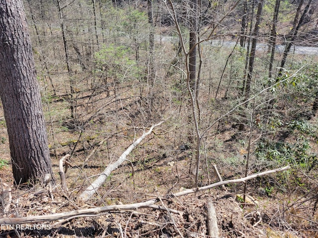 LOT25 Alpine Dr, Sevierville, TN 37876