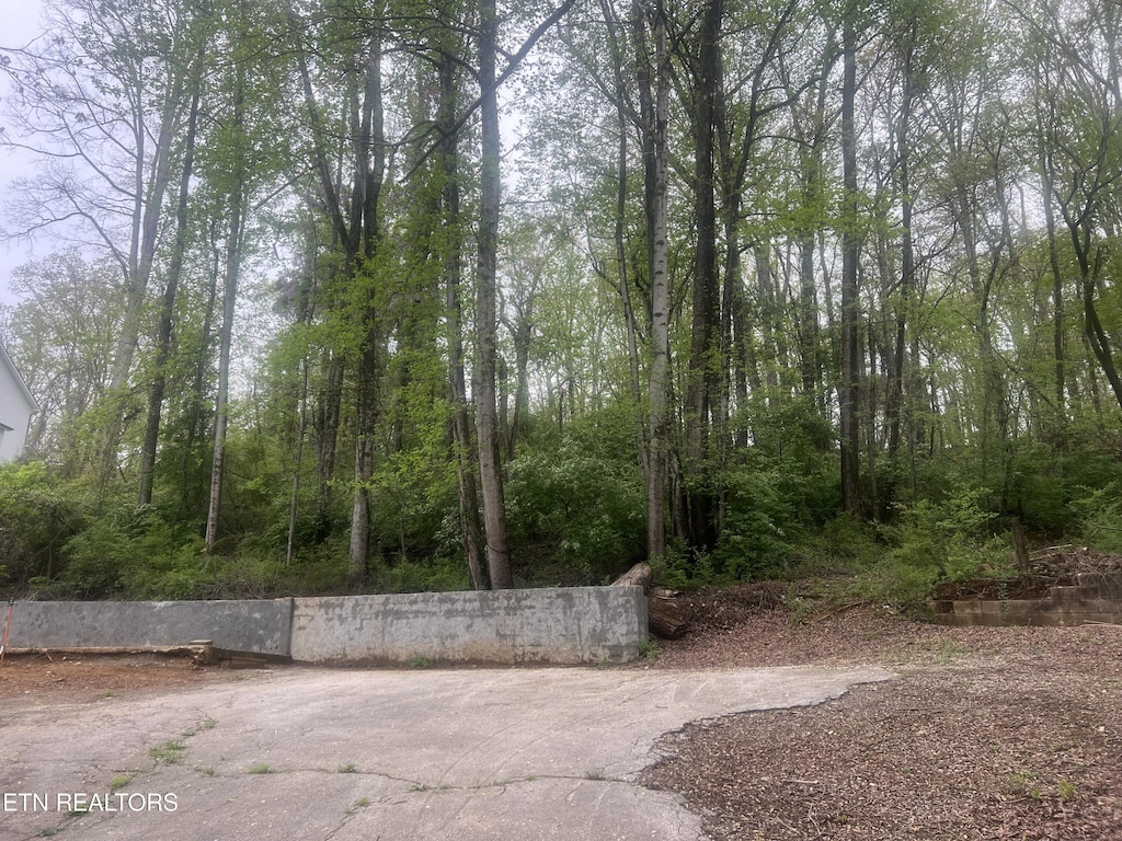 1201 Army St, Knoxville, TN 37920 - photo 3