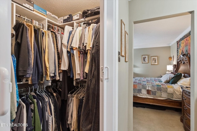 7914 Gleason Dr Unit 1145, Knoxville, TN 37919 - walk in closet with carpet