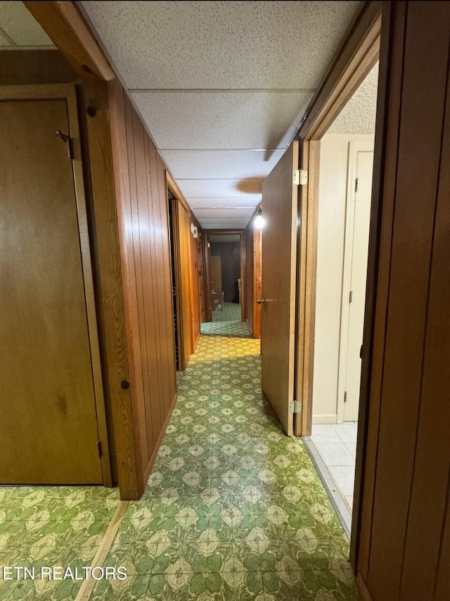 1211 Old Hollow Rd, Loudon, TN 37774 - corridor with light floors and a drop ceiling