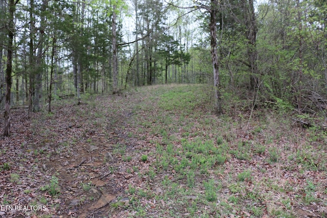 21ACRES County Road 461, Englewood, TN 37329