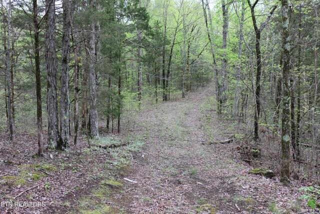 21ACRES County Road 461, Englewood, TN 37329
