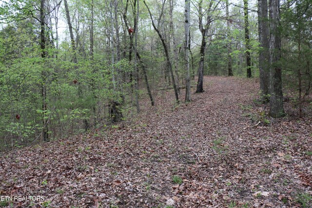 21ACRES County Road 461, Englewood, TN 37329