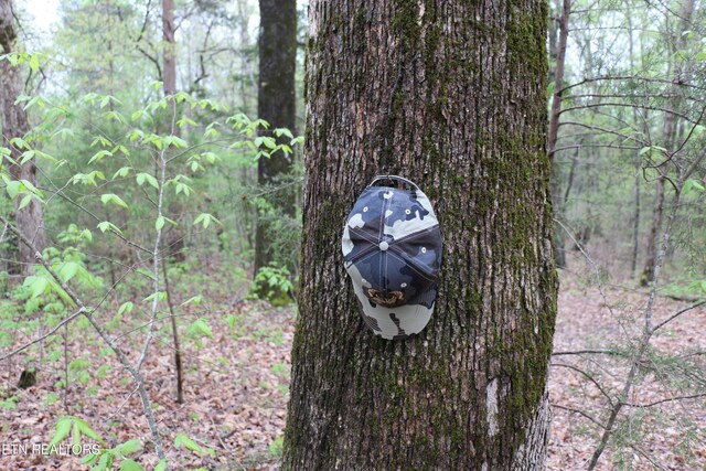21ACRES County Road 461, Englewood, TN 37329