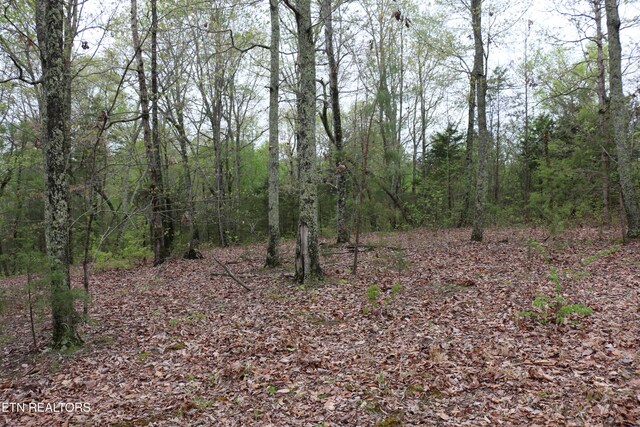 21ACRES County Road 461, Englewood, TN 37329