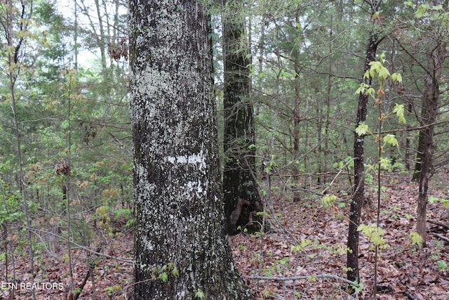 21ACRES County Road 461, Englewood, TN 37329