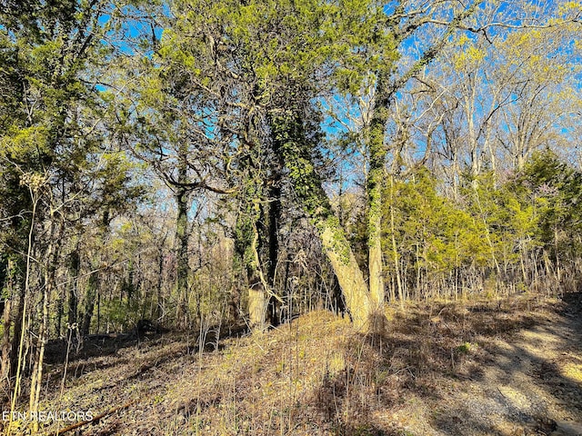 Haven Hill Rd, Louisville, TN 37777 - photo 1