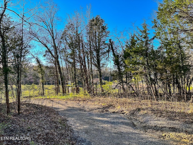 Haven Hill Rd, Louisville, TN 37777 - photo 2