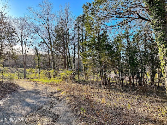 Haven Hill Rd, Louisville, TN 37777 - photo 3