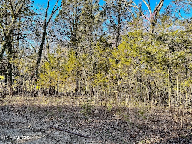 Haven Hill Rd, Louisville, TN 37777 - photo 4