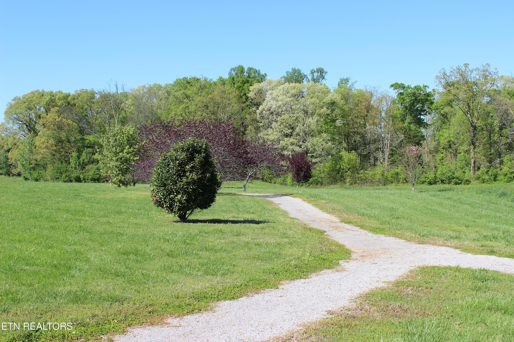 LOT3 Sugar Maple Ct, Madisonville, TN 37354