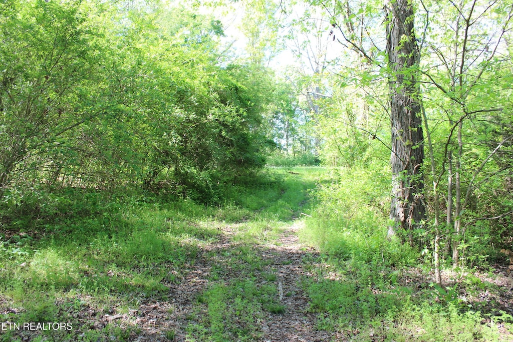 LOT3 Sugar Maple Ct, Madisonville, TN 37354