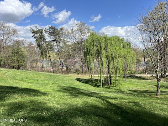 801 Lakeway Rd, Morristown, TN 37814 - view of yard featuring a wooded view