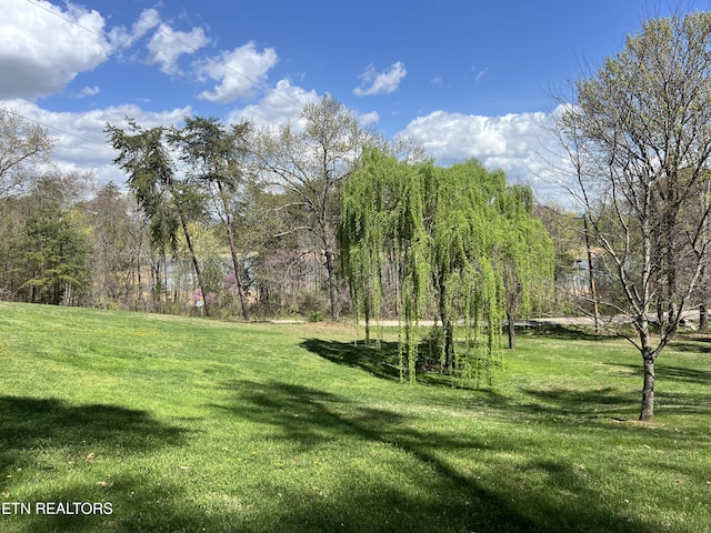 801 Lakeway Rd, Morristown, TN 37814 - view of yard
