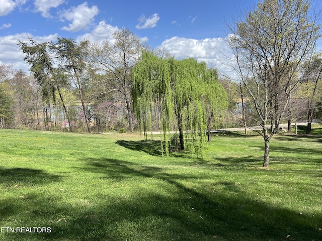801 Lakeway Rd, Morristown, TN 37814 - view of yard
