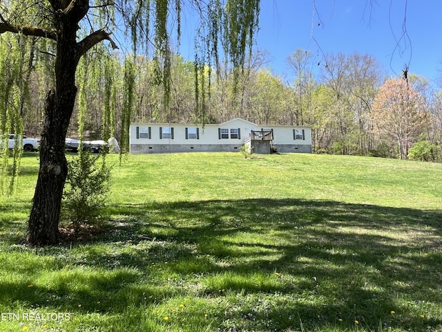 801 Lakeway Rd, Morristown, TN 37814 - view of yard featuring a view of trees