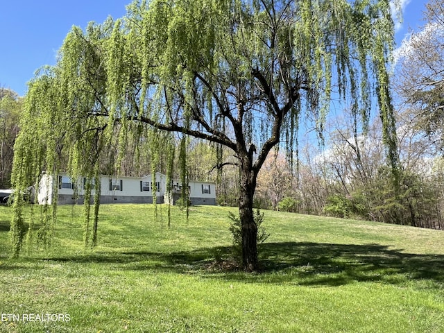 801 Lakeway Rd, Morristown, TN 37814 - view of yard