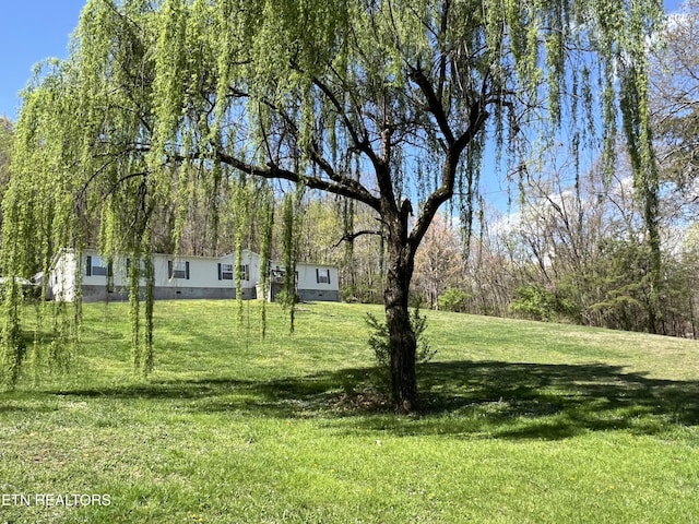 801 Lakeway Rd, Morristown, TN 37814 - view of yard