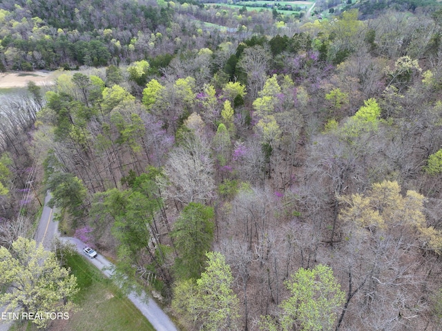 801 Lakeway Rd, Morristown, TN 37814 - drone / aerial view featuring a view of trees