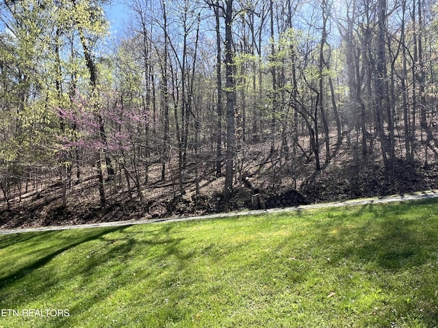801 Lakeway Rd, Morristown, TN 37814 - view of yard