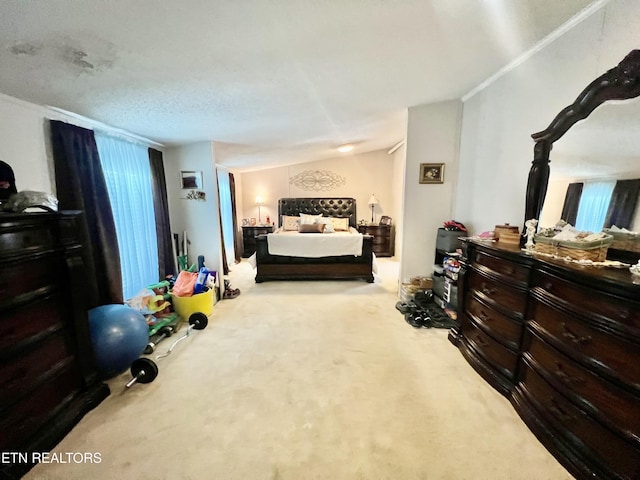 801 Lakeway Rd, Morristown, TN 37814 - bedroom with carpet floors