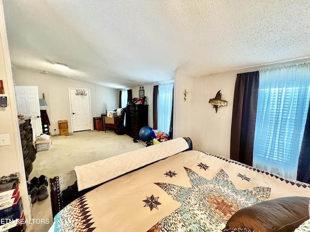 801 Lakeway Rd, Morristown, TN 37814 - carpeted bedroom featuring a textured ceiling and vaulted ceiling