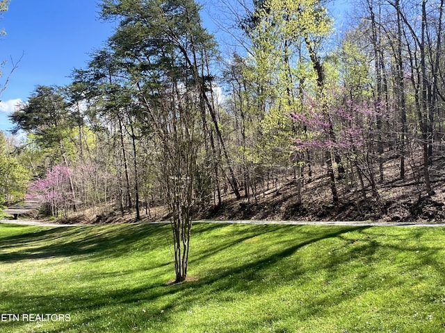 801 Lakeway Rd, Morristown, TN 37814 - view of yard featuring a forest view