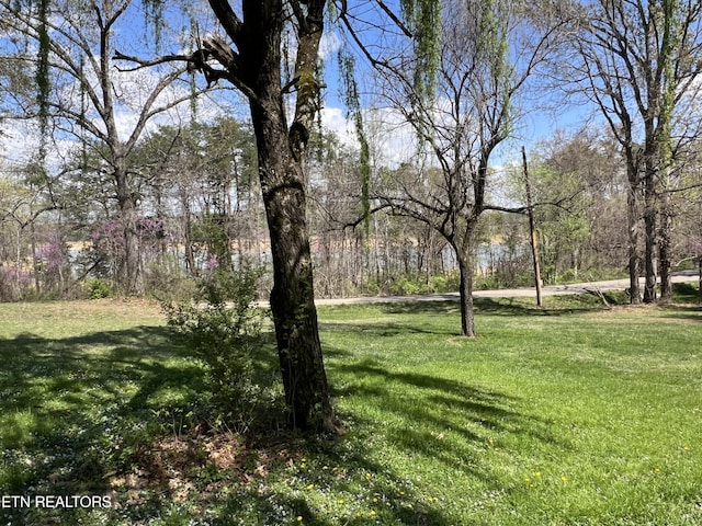 801 Lakeway Rd, Morristown, TN 37814 - view of yard
