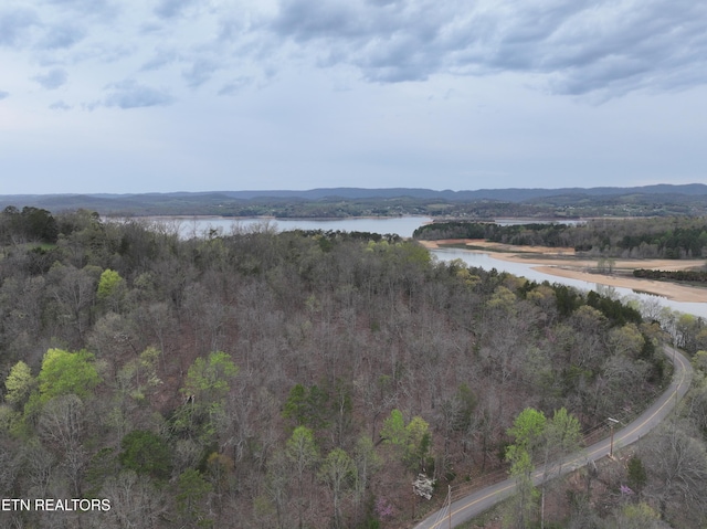 801 Lakeway Rd, Morristown, TN 37814 - property view of water featuring a forest view