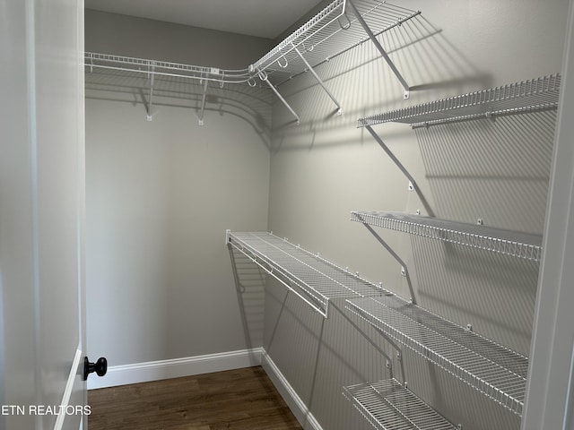 walk in closet featuring dark wood-type flooring