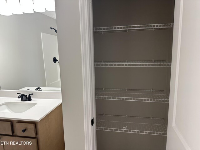closet with a sink