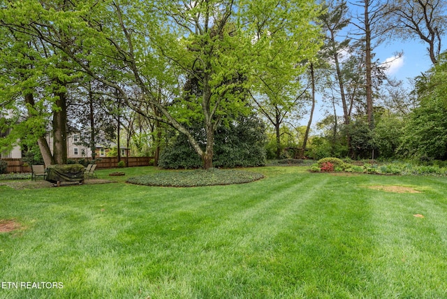 view of yard with fence