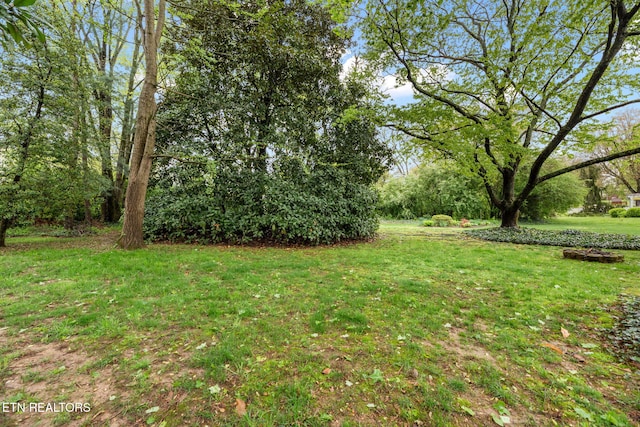 view of yard