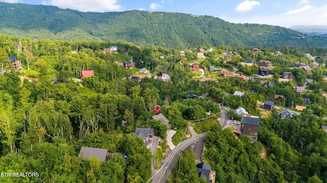 bird's eye view with a mountain view and a forest view