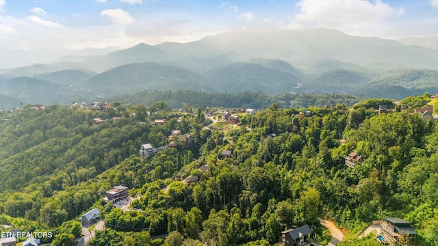 aerial view with a mountain view and a view of trees