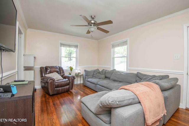 living room featuring a wealth of natural light, a ceiling fan, ornamental molding, and dark wood finished floors