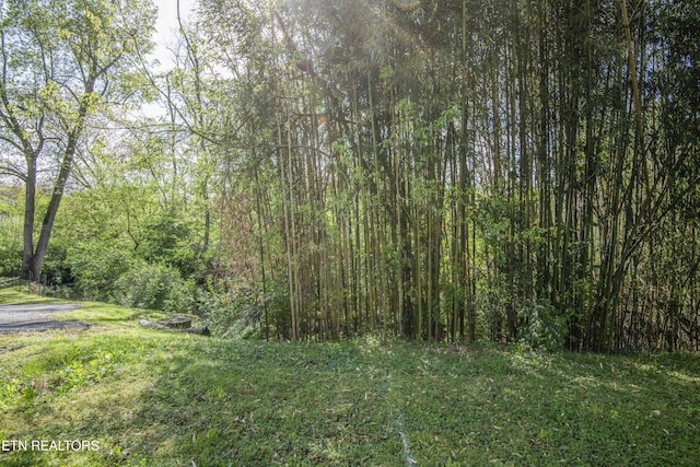 view of landscape featuring a forest view