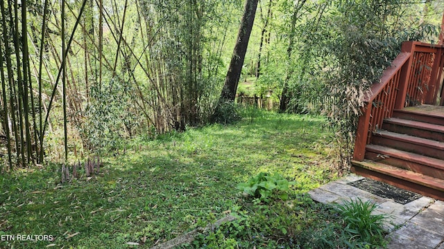 view of yard with stairs
