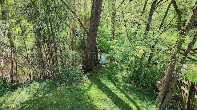 view of local wilderness with a view of trees