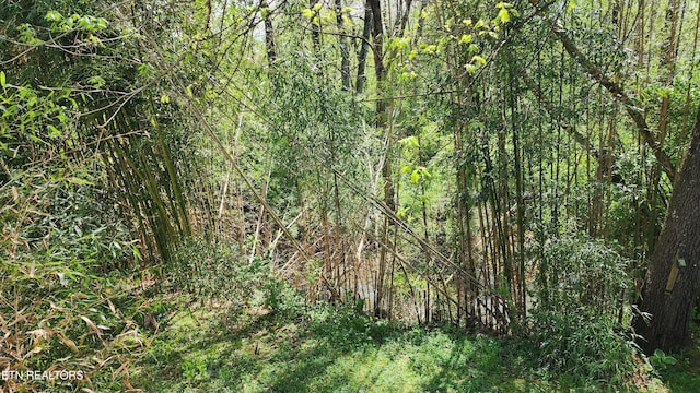 view of landscape featuring a forest view
