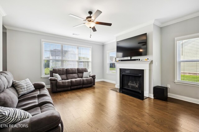146 Ashton Fields Dr, Lenoir City, TN 37772 - photo 12