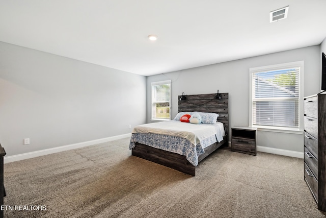 146 Ashton Fields Dr, Lenoir City, TN 37772 - photo 19