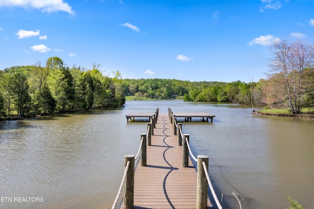 146 Ashton Fields Dr, Lenoir City, TN 37772 - photo 36
