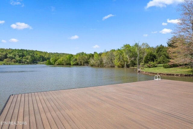 146 Ashton Fields Dr, Lenoir City, TN 37772 - photo 37